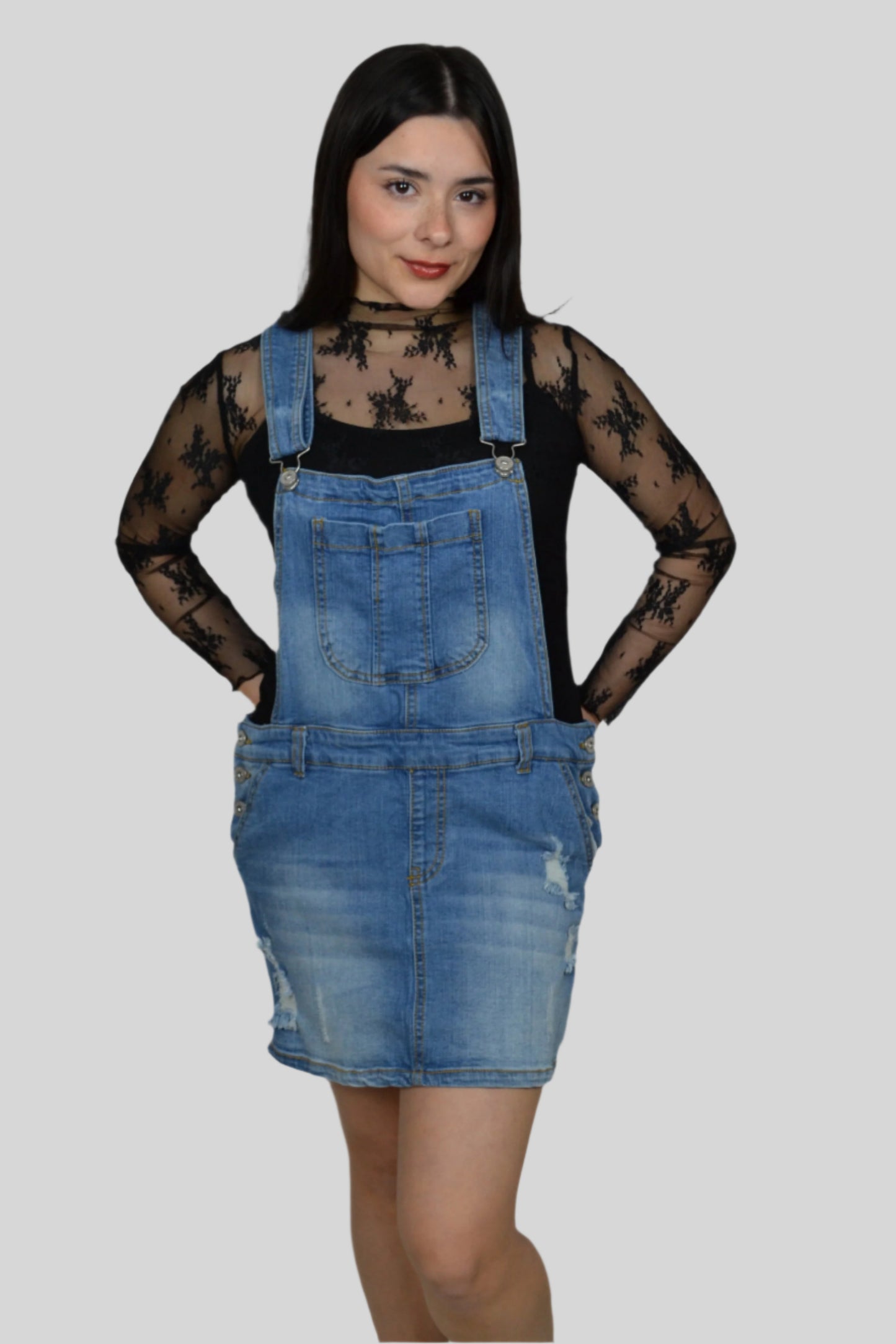Cher Sheer Lace Top