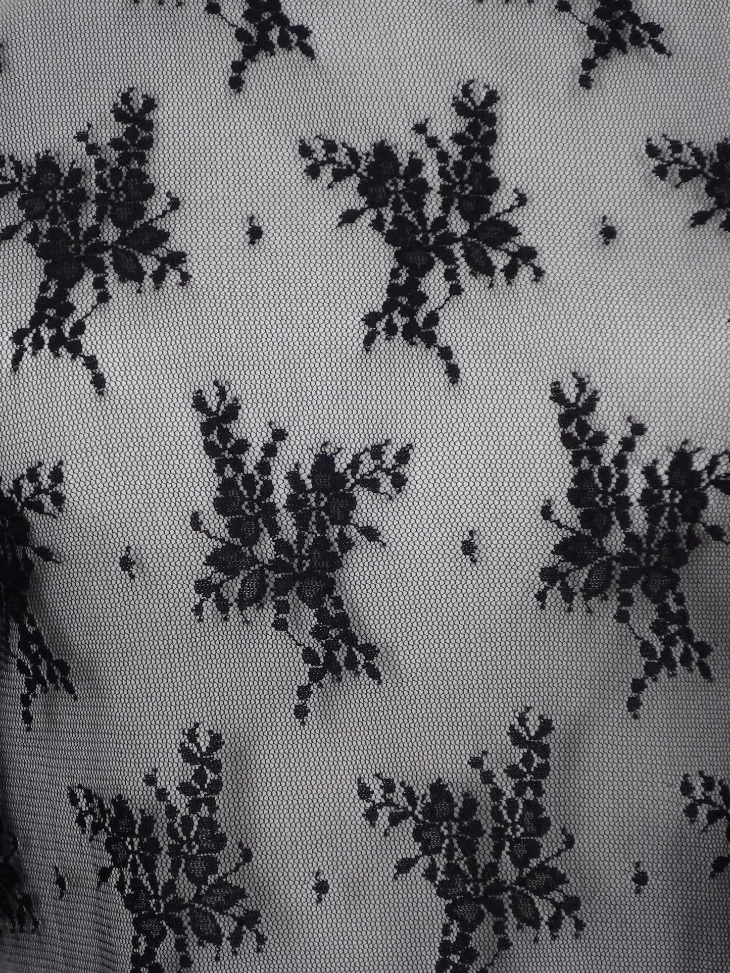 Cher Sheer Lace Top
