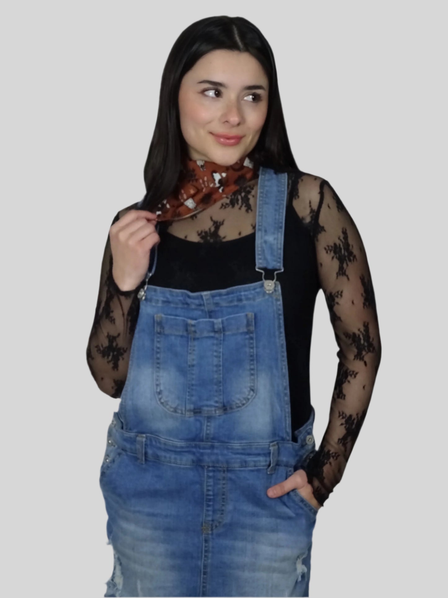 Cher Sheer Lace Top
